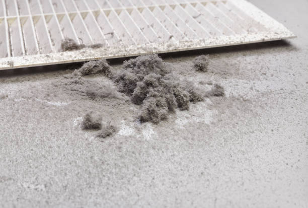 Best Dryer Vent Cleaning Services  in Zeigler, IL