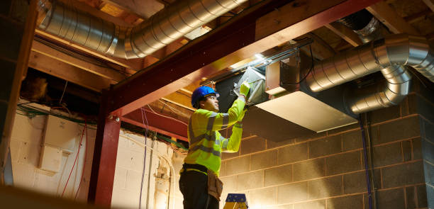 Best Air Vent Cleaning Services  in Zeigler, IL