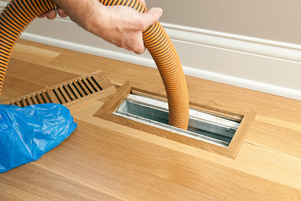 Best Local Air Duct Cleaning Services  in Zeigler, IL