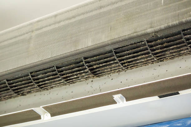 Best Commercial Air Duct Cleaning  in Zeigler, IL